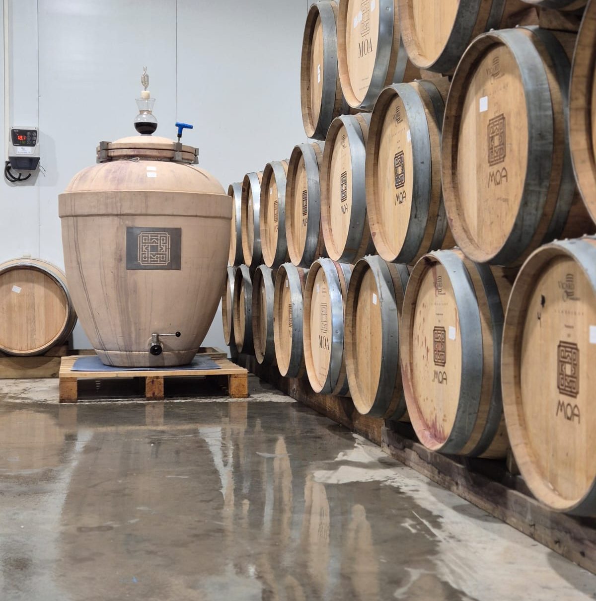 WhatsApp Image 2026-03-30 at 13.47.08 (1)