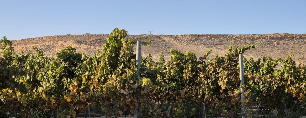 WhatsApp Image 2026-03-30 at 13.48.31